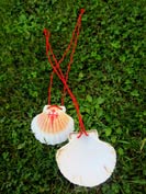 Small shell of pilgrim with red cord